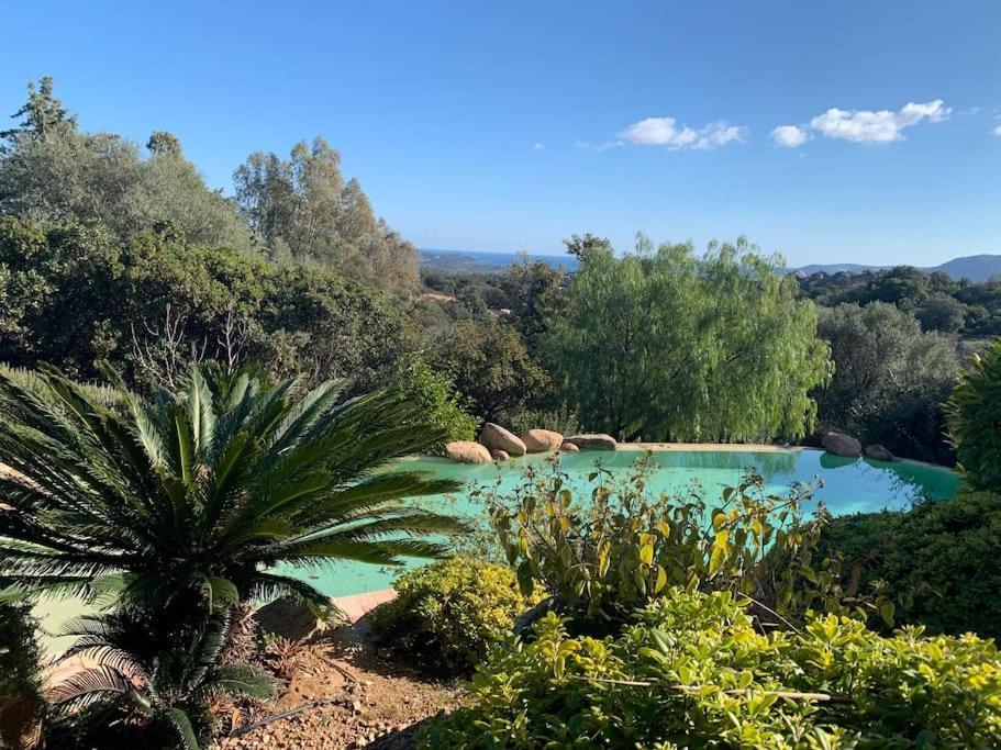 Apartamento La D'aphrodite Avec Jacuzzi Vue *