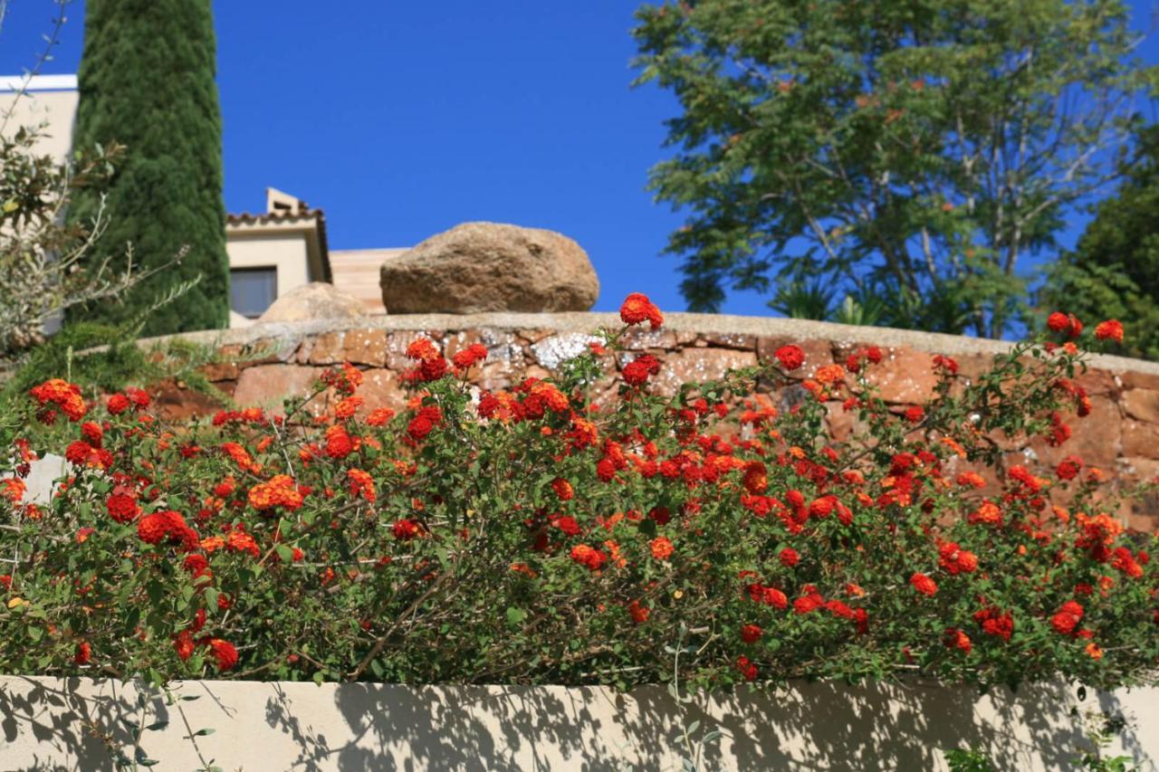 La D'aphrodite Avec Jacuzzi Vue Apartment